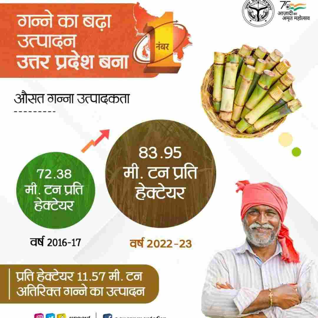 Uttar Pradesh's Agricultural Success Topping The Nation In Sugarcane